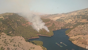 KAHRAMANMARAŞ’TA ORMAN YANGINI 