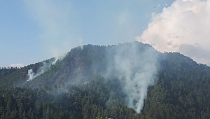 KAHRAMANMARAŞ’TA ORMAN YANGINI 