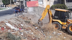 BÜYÜKŞEHİR’DEN ÇEVRE TEMİZLİĞİ
