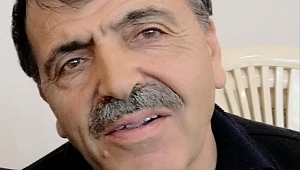 CEVİZ AĞACINDAN DÜŞEN ADAM HAYATINI KAYBETTİ