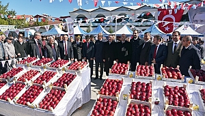 GÖKSUN ELMA FESTİVALİNİN 7.Sİ COŞKUYLA YAPILDI