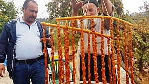 KAHRAMANMARAŞ’TA PEKMEZ SUCUĞU TELAŞI 