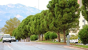 KAHRAMANMARAŞ’TA ŞİDDETLİ RÜZGAR 