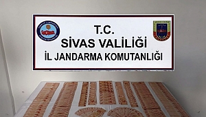  KALPAZANLAR HAYVAN PAZARLARINA DADANDI 