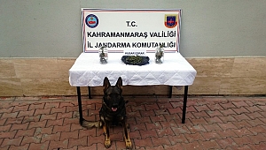 KAVANOZDAKİ UYUŞTURUCUYU ‘ATOS’ BULDU 