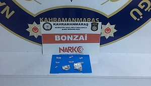 BAYAN TORBACI YAKALANDI
