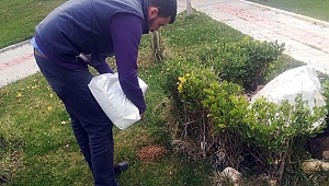 BÜYÜKŞEHİR SOKAK HAYVANLARINI DA UNUTMADI