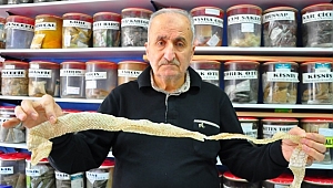 CANLI YAKALANIYOR GÖREN HEMEN ALIYOR