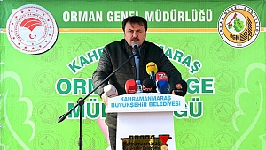 FİDANLAR FİDANLARLA BÜYÜYECEK