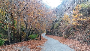 KAHRAMANMARAŞ’TA KARTPOSTALLIK SONBAHAR 