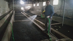 SOLUCANLARDAN DOĞAL GÜBRE ÜRETİYOR