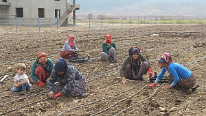 DONDURMANIN BAŞKENTİNDE SALEP ÜRETİMİ