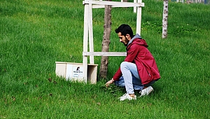 GENÇLERDEN KEDİLERİ ISITACAK ÇALIŞMA 