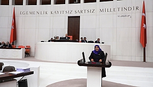 HDP'Lİ HÜDA KAYA'YA MİLLETVEKİLİ ÖÇAL'DAN TARİH DERSİ