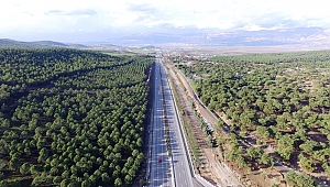 ORMAN ZENGİNİ KAHRAMANMARAŞ 