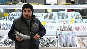 YAĞIŞLAR ARTTI BALIK FİYATLARI DÜŞTÜ 