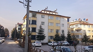 4. KATTAN DÜŞEN ADAM HAYATINI KAYBETTİ 