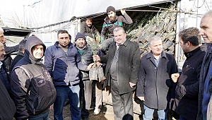 BÜYÜKŞEHİR’DEN ÇİFTÇİLERE ZEYTİN FİDANI