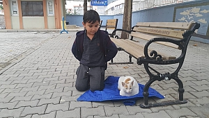 KEDİ ÜŞÜMESİN DİYE MONTUNU KEDİNİN ALTINA SERDİ 