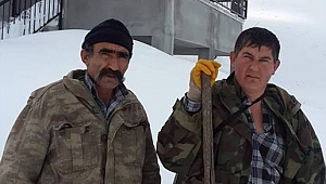 YAYLADA MAHSUR KALAN DAYI YEĞEN 5 GÜNDÜR KURTARILMAYI BEKLİYOR 