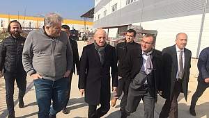 ATOM KARINCA DUR DURAK BİLMİYOR!