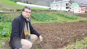  DÜNYADA PATATES ÜRETİMİ YAPAN ÜLKELERDE “PATATES SİĞİLİ HASTALIĞI” GÖRÜLÜYOR 