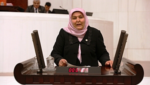 KURTULUŞ DESTANININ 99. YILDÖNÜMÜ MECLİS KÜRSÜSÜNDEN DE ANILDI