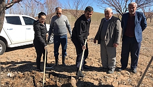 ELBİSTAN’DA KAYSI AĞAÇLARINA GİDYA UYGULAMASI