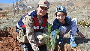 ELBİSTAN'DA ŞEHİTLER ORMANINA 800 FİDAN DİKİLDİ 