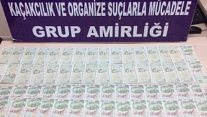 KAHRAMANMARAŞ’TA 231 ADET 20 TL’LİK SAHTE BANKNOT ELE GEÇİRİLDİ 
