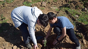 KAHRAMANMARAŞ’TA 5 BİN FİDAN TOPRAKLA BULUŞTU 