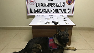 KAHRAMANMARAŞ’TA UYUŞTURUCU OPERASYONU: 21 GÖZALTI 