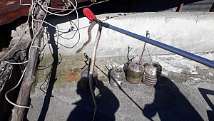 EVİN ÇATISINDAKİ YILAN PANİĞE NEDEN OLDU 
