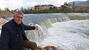 GÖÇ YOLUNDAKİ BALIKLAR ŞELALEYE TAKILDI 