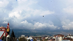 KAHRAMANMARAŞ’I KELEBEKLER BASTI 