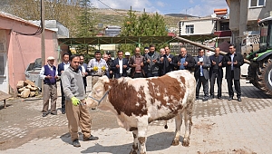 MAHALLE SAKİNLERİ, BEREKET VE BOLLUK İÇİN KURBAN KESTİ 
