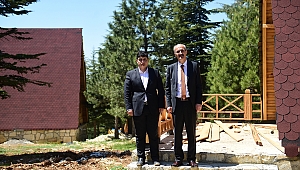 BAŞKAN OKAY YALNIZ ARDIÇ MESİRE ALANI ÇALIŞMALARINI İNCELEDİ