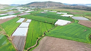 KAHRAMANMARAŞ’TA 10 843 HEKTAR ARAZİ TOPLULAŞTIRILDI