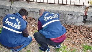 TOPRAĞA GÖMÜLEN CENİNİ, KÖPEKLER BULUP ÇIKARDI 