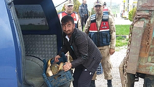 YASA DIŞI BALIK SEVKİYATINA BİN 635 TL CEZA 