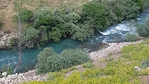 15 YAŞINDAKİ FATMA AKINTIYA KAPILDI 