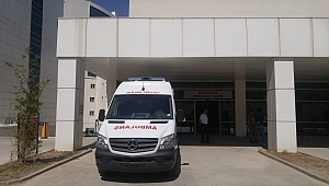 AĞACA DÜŞEN YILDIRIM KARI KOCAYI YARALADI 