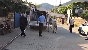 ATINA SOPAYLA VURAN ŞAHSA CEZA KESİLDİ 