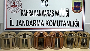KAÇAK KEKLİK AVLAYANLARA 3 BİN 600 TL CEZA 