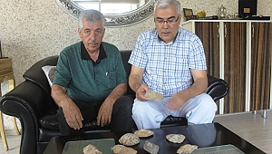 KAHRAMANMARAŞ'TA 35 MİLYON YILLIK FOSİL BULUNDU 