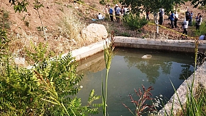 KAYIP 6 YAŞINDAKİ ÇOCUK SULAMA HAVUZUNDA ÖLÜ BULUNDU 