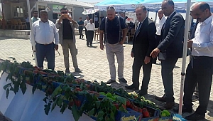 TARIMSAL KALKINMA İLE BÖLGEYE ÖRNEK OLACAKLAR