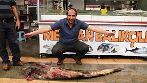 AĞIRLIĞI 100 KİLO, BOYU 2 METRE 