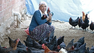 GEÇİNMEK İÇİN BAŞLADIĞI İŞİ BÜYÜTEN KADININ HEDEFİ TAVUK ÇİFTLİĞİ SAHİBİ OLMAK 