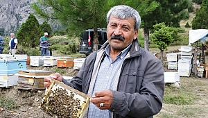 KAHRAMANMARAŞ’A 11. BAL ORMANI 